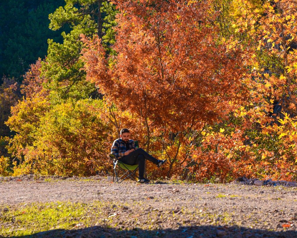 Balıkesir'deki Sındırgı ormanları düğün fotoğrafçılarının gözdesi oldu 6