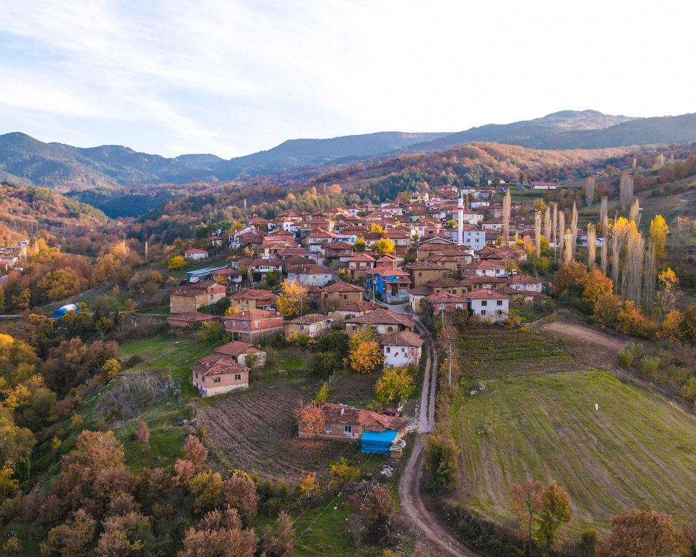 Balıkesir'deki Sındırgı ormanları düğün fotoğrafçılarının gözdesi oldu 21