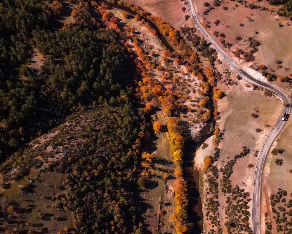 Balıkesir'deki Sındırgı ormanları düğün fotoğrafçılarının gözdesi oldu 23