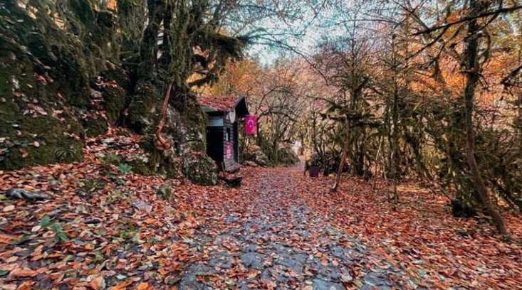 Kastamonu'dan içleri ısıtan manzara... Horma Kanyonu ve Ilıca Şelalesi sonbahar renklerine büründü 12