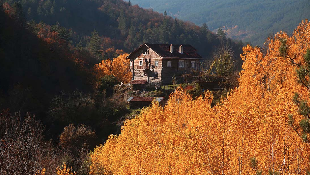 Kastamonu'dan içleri ısıtan manzara... Horma Kanyonu ve Ilıca Şelalesi sonbahar renklerine büründü 4