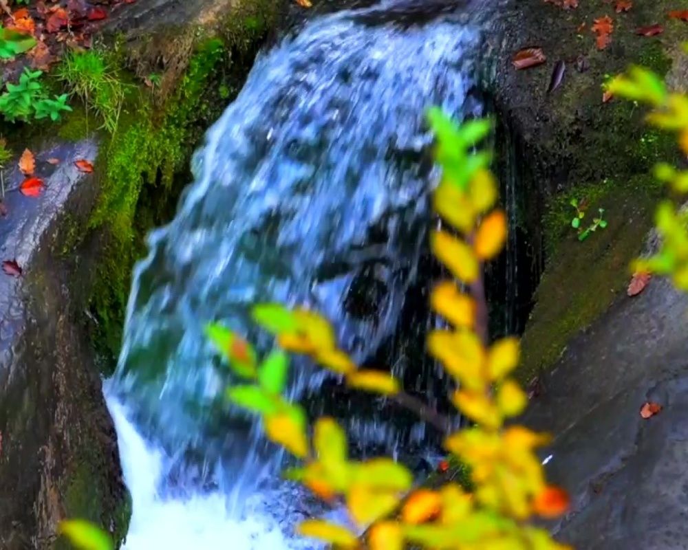 Düzce Yılançatı Kanyonu'nda sonbahar güzelliği yaşanıyor 1