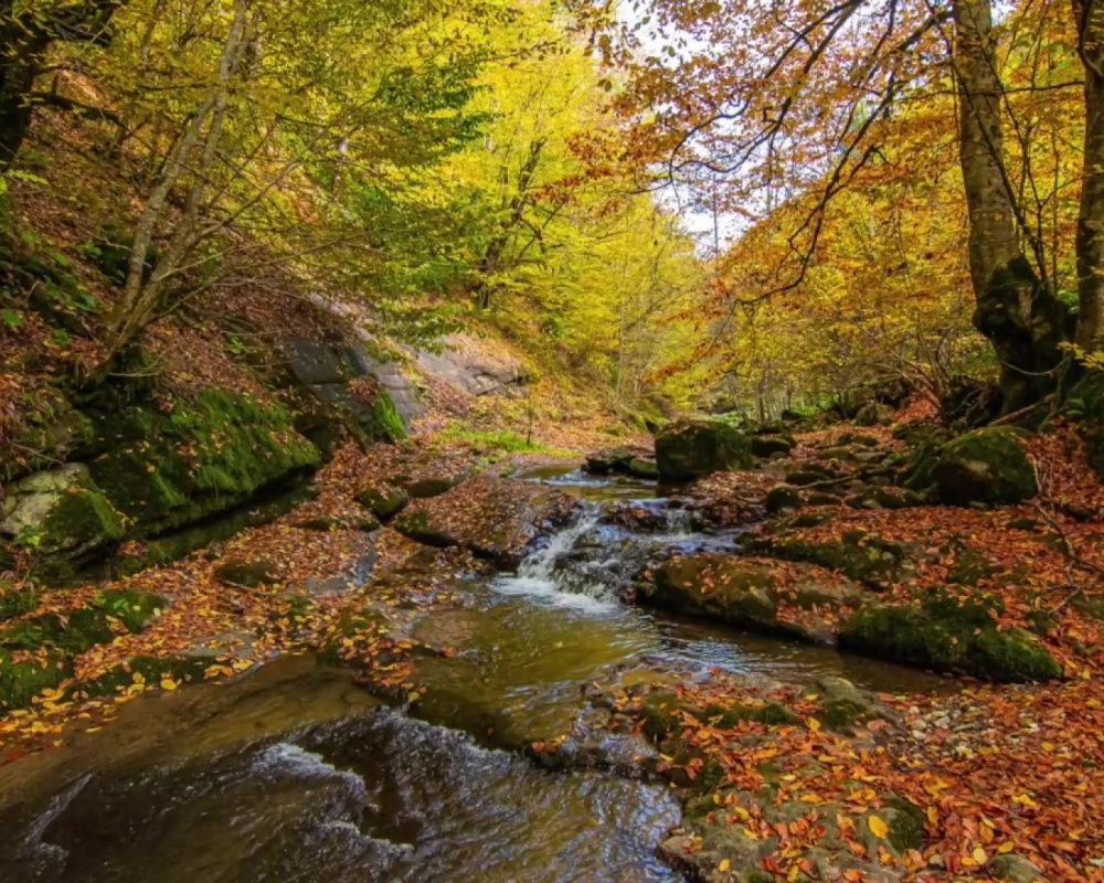 Düzce Yılançatı Kanyonu'nda sonbahar güzelliği yaşanıyor 2