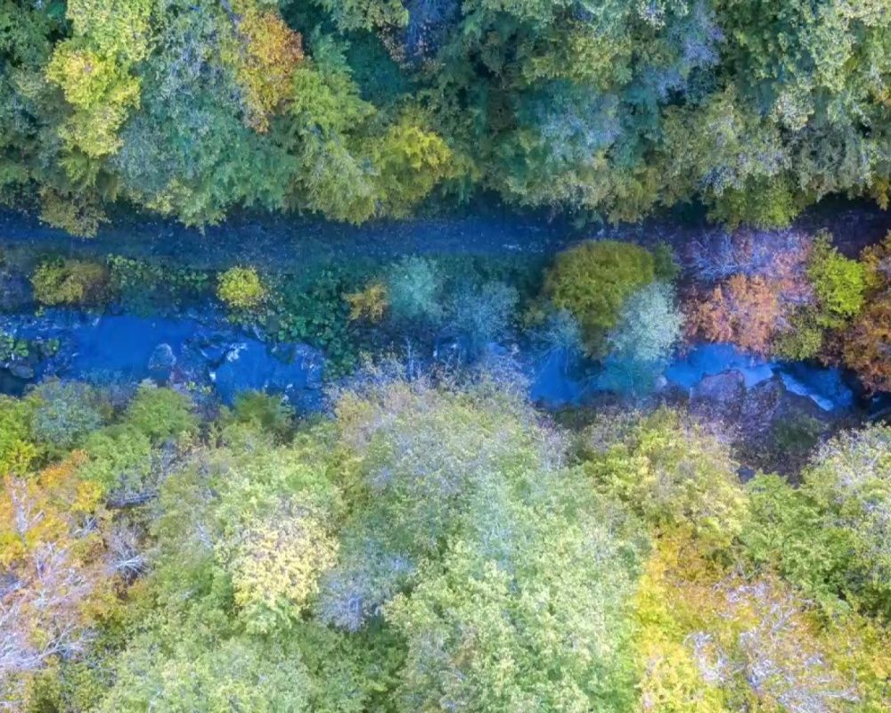 Düzce Yılançatı Kanyonu'nda sonbahar güzelliği yaşanıyor 3