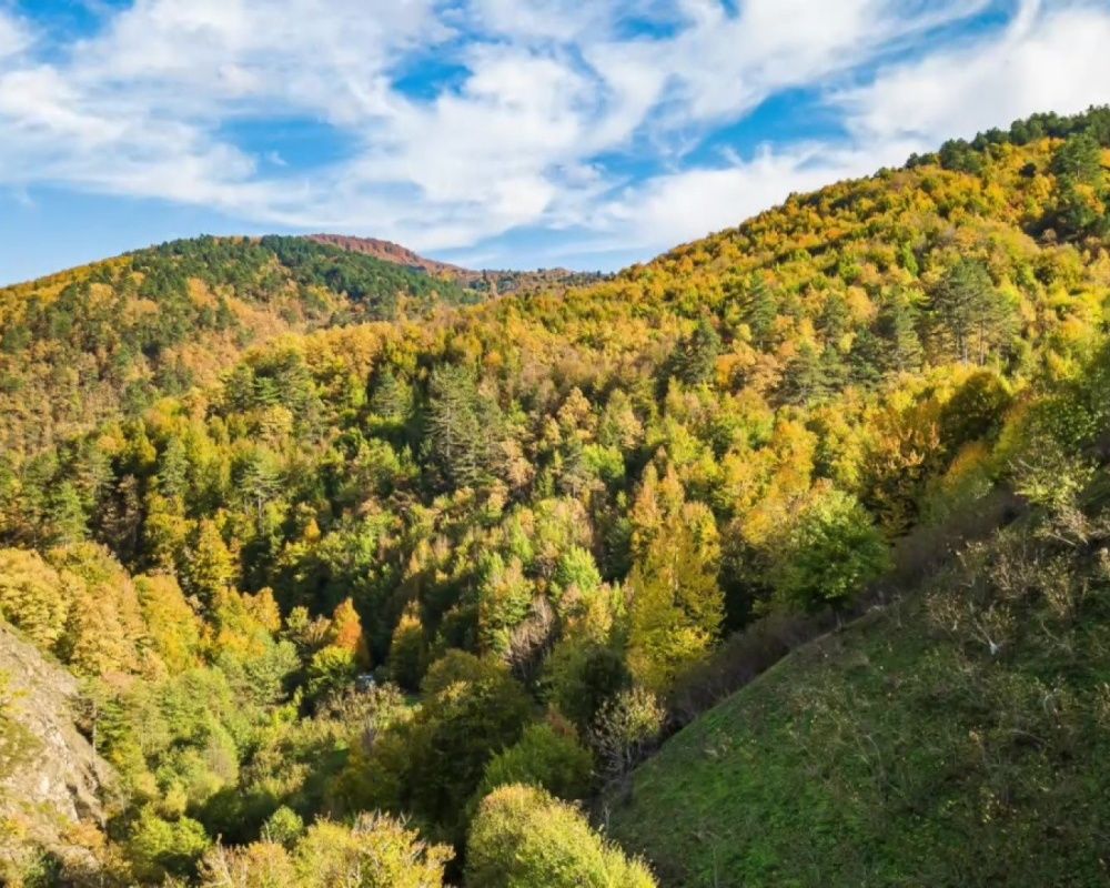 Düzce Yılançatı Kanyonu'nda sonbahar güzelliği yaşanıyor 6