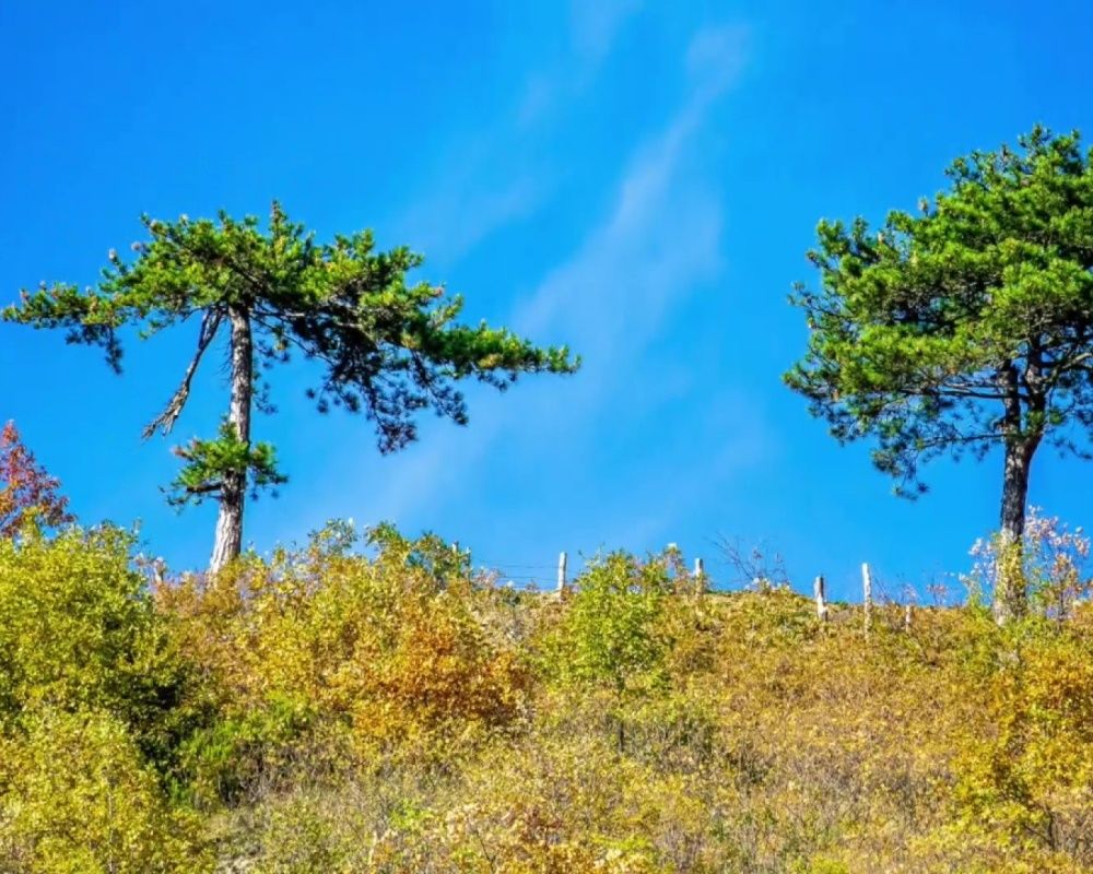 Düzce Yılançatı Kanyonu'nda sonbahar güzelliği yaşanıyor 11