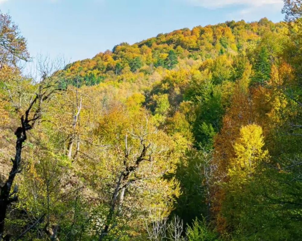 Düzce Yılançatı Kanyonu'nda sonbahar güzelliği yaşanıyor 12