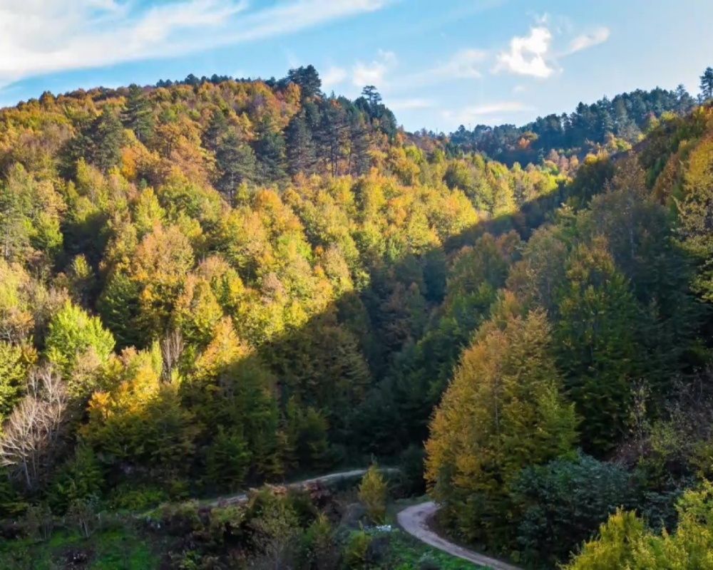 Düzce Yılançatı Kanyonu'nda sonbahar güzelliği yaşanıyor 13