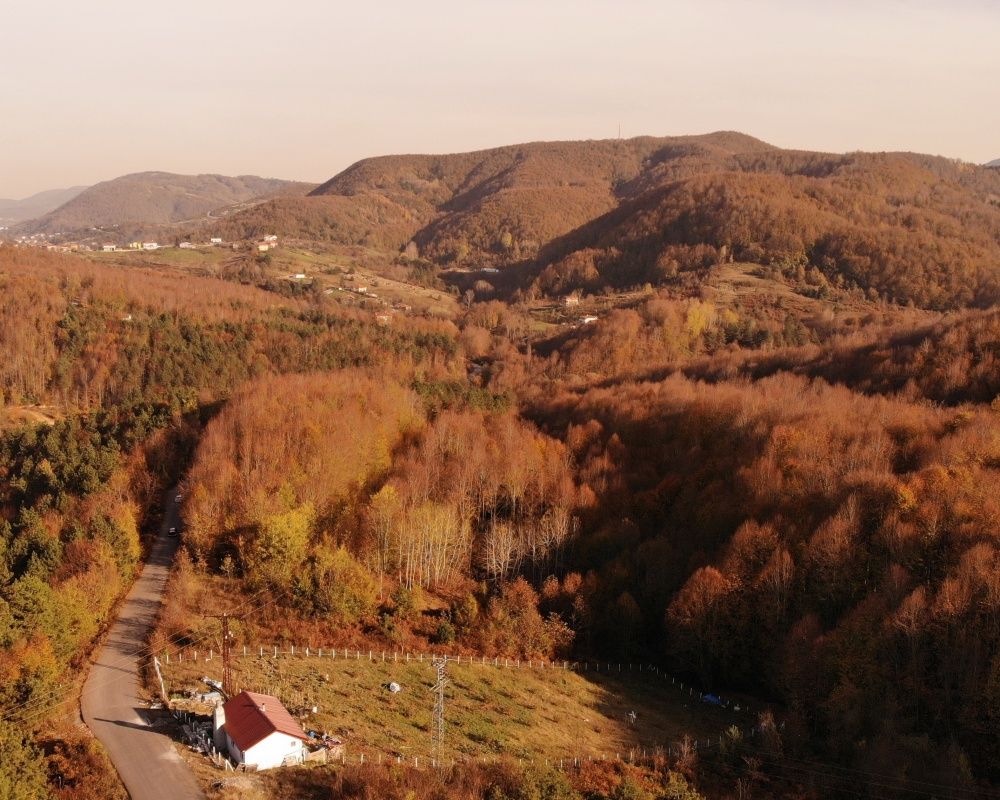 Zonguldak ormanlarındaki hazan renkleri kendine hayran bıraktırıyor 5