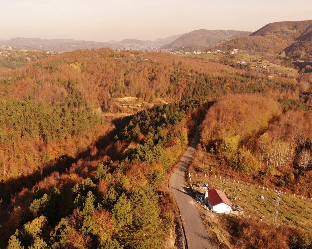 Zonguldak ormanlarındaki hazan renkleri kendine hayran bıraktırıyor 6