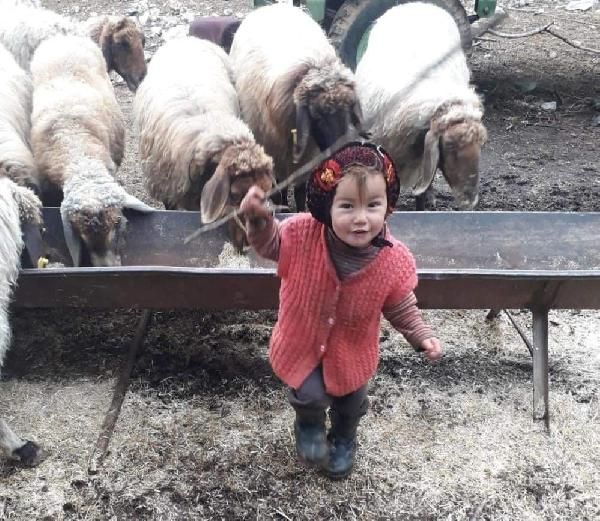 Küçük Müslüme'nin cansız bedeni otopsi için Adli Tıp'a getirildi 8