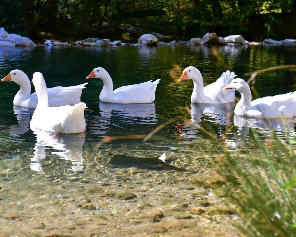 Isparta'da Yazılı Kanyon Tabiat Parkı'ndan büyüleyen manzaralar 5