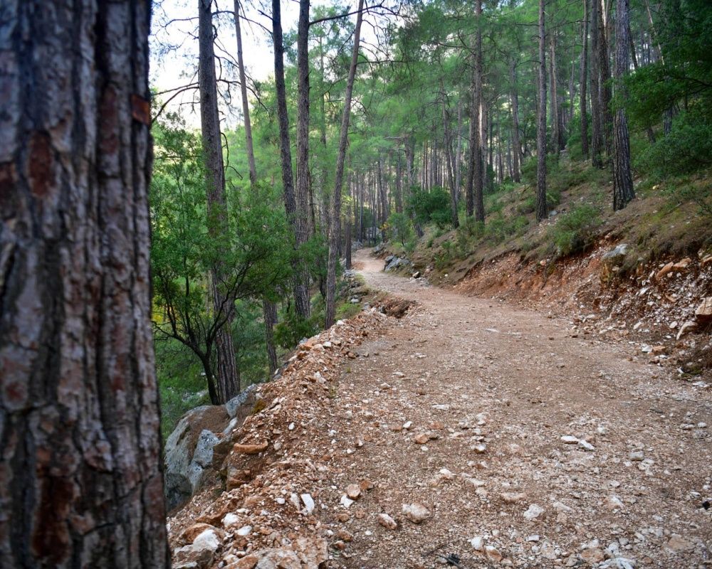 Isparta'da Yazılı Kanyon Tabiat Parkı'ndan büyüleyen manzaralar 8