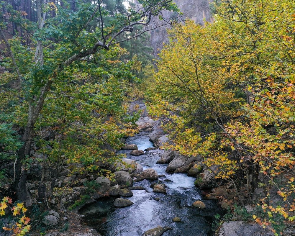 Isparta'da Yazılı Kanyon Tabiat Parkı'ndan büyüleyen manzaralar 16