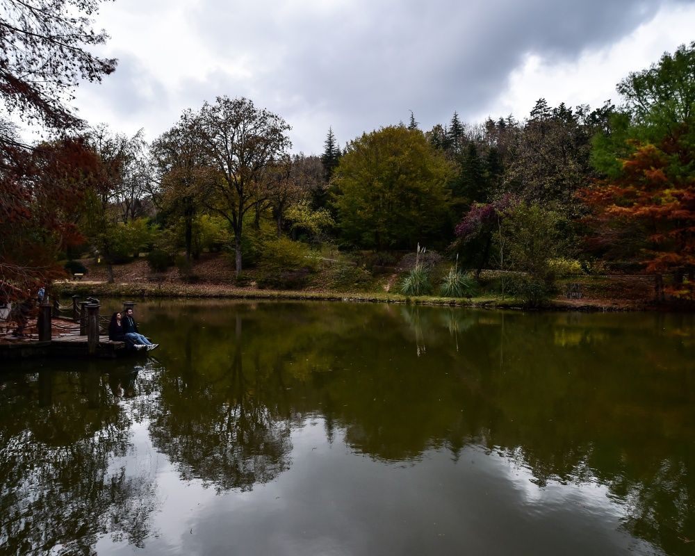 Sonbaharda İstanbul'da mutlaka görülmesi gereken bir yer: 'Canlı ağaç müzesi' Atatürk Arboretumu 21