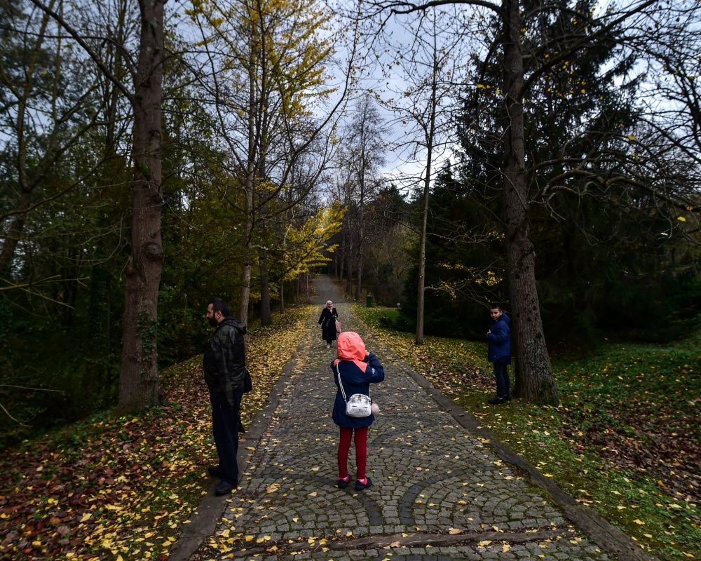 Sonbaharda İstanbul'da mutlaka görülmesi gereken bir yer: 'Canlı ağaç müzesi' Atatürk Arboretumu 22