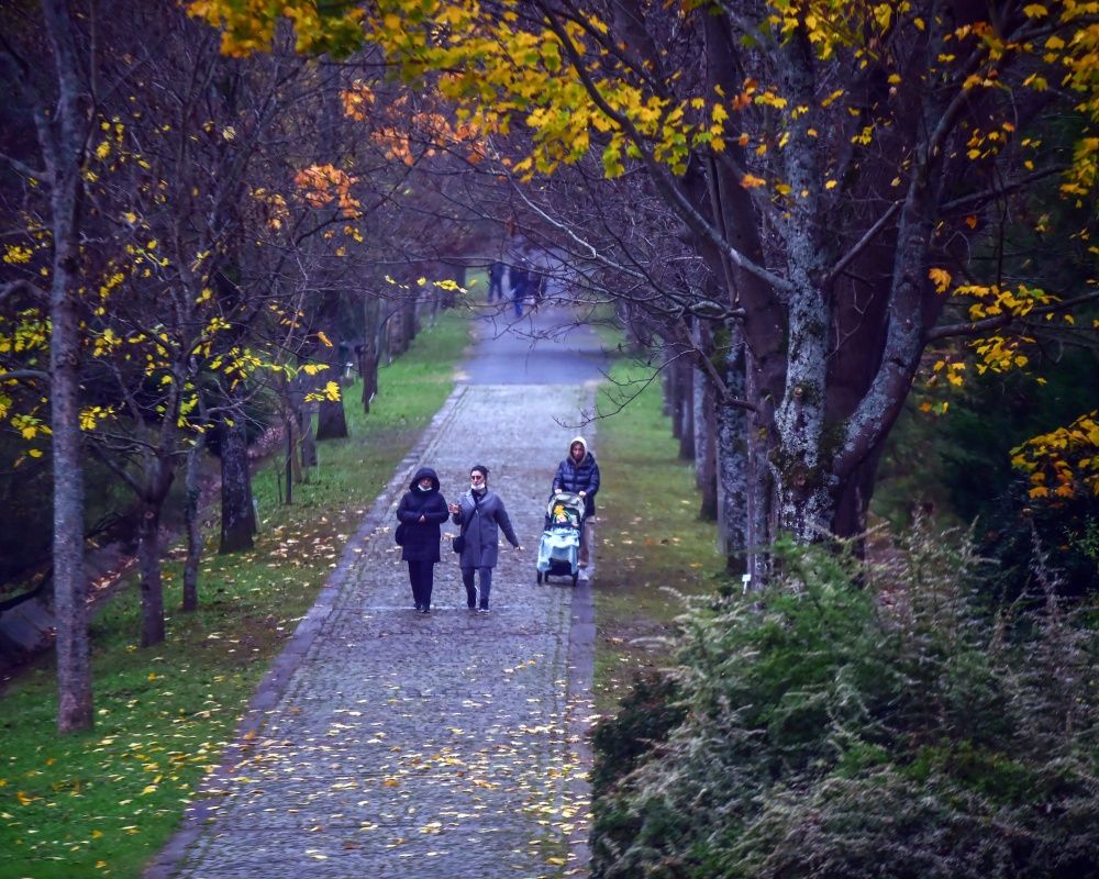 Sonbaharda İstanbul'da mutlaka görülmesi gereken bir yer: 'Canlı ağaç müzesi' Atatürk Arboretumu 2