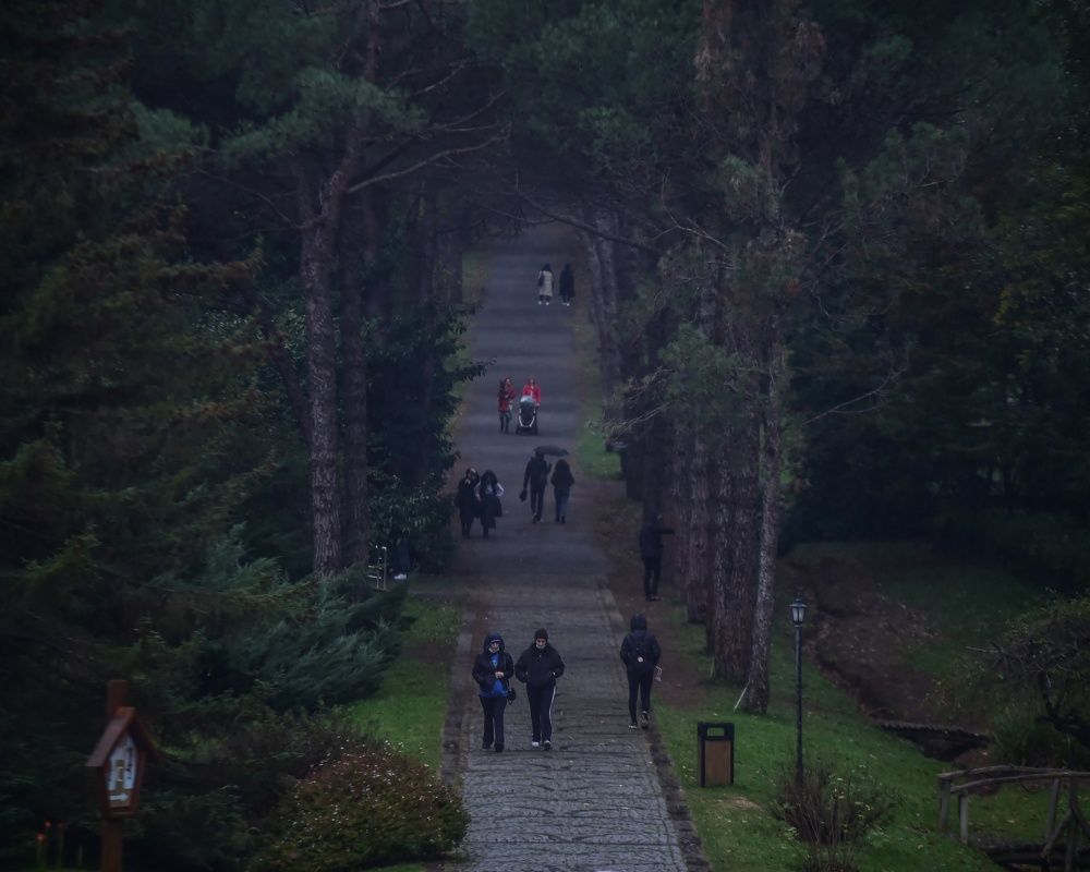 Sonbaharda İstanbul'da mutlaka görülmesi gereken bir yer: 'Canlı ağaç müzesi' Atatürk Arboretumu 3