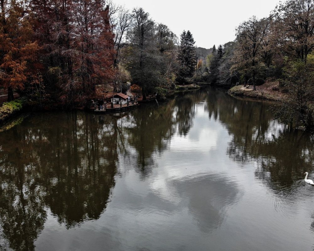 Sonbaharda İstanbul'da mutlaka görülmesi gereken bir yer: 'Canlı ağaç müzesi' Atatürk Arboretumu 4