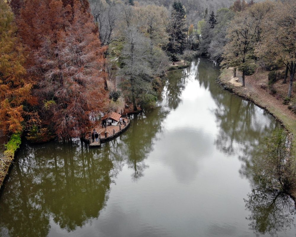Sonbaharda İstanbul'da mutlaka görülmesi gereken bir yer: 'Canlı ağaç müzesi' Atatürk Arboretumu 5