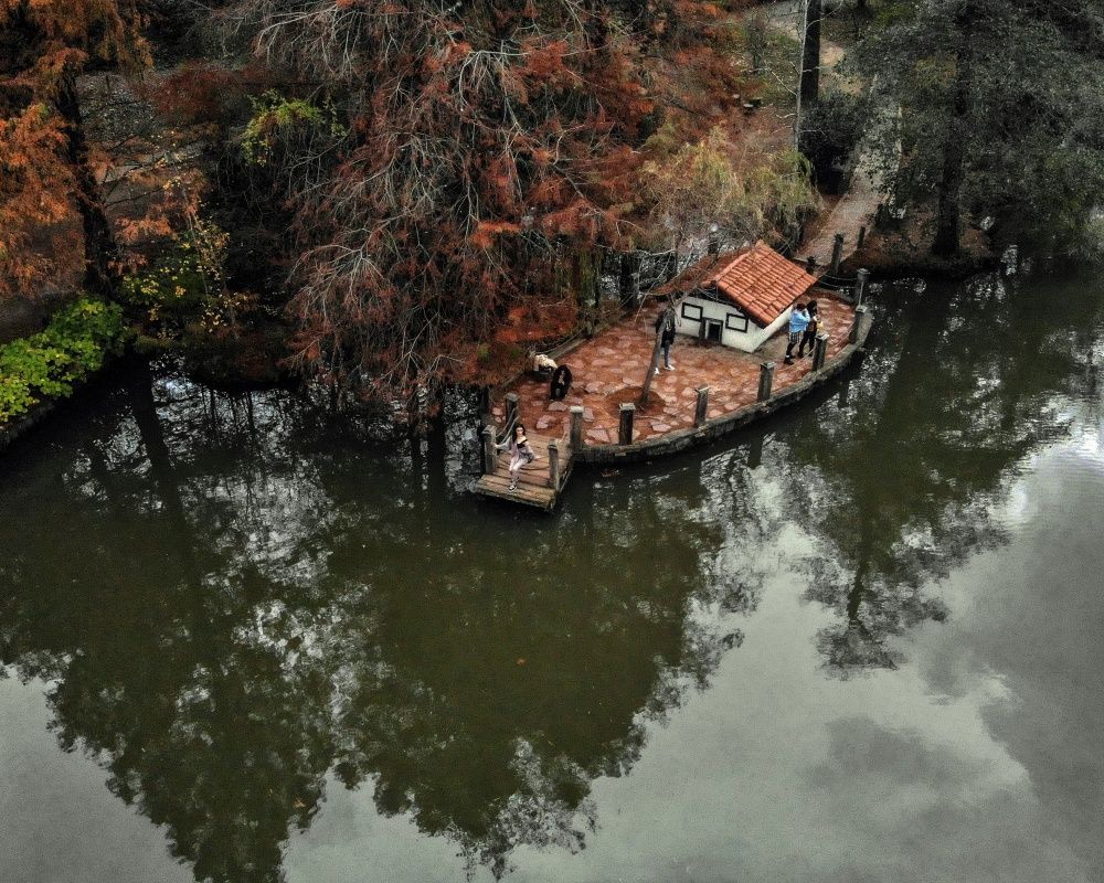 Sonbaharda İstanbul'da mutlaka görülmesi gereken bir yer: 'Canlı ağaç müzesi' Atatürk Arboretumu 6
