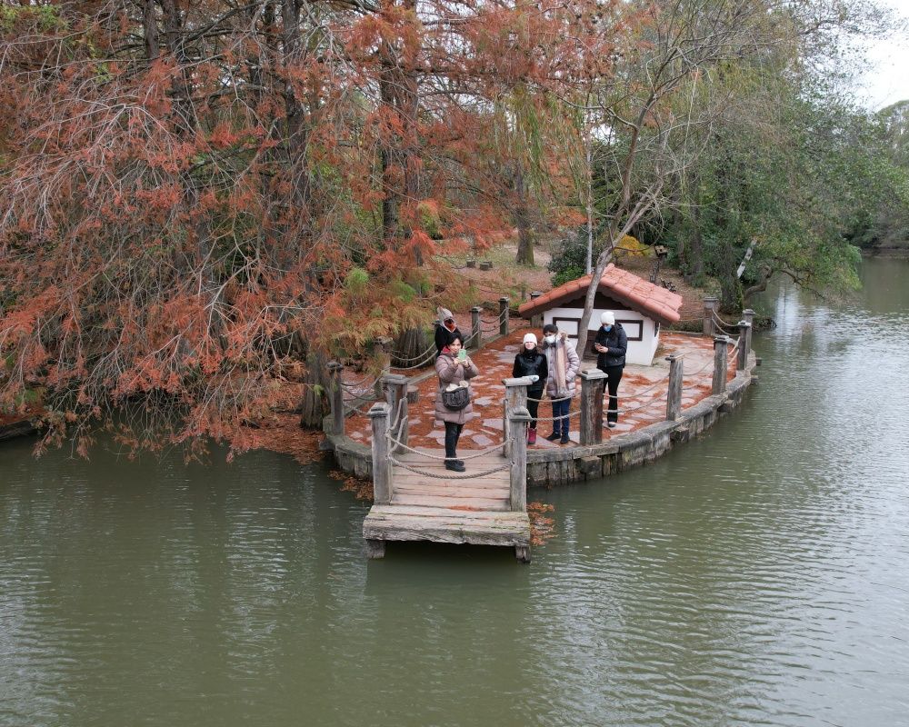 Sonbaharda İstanbul'da mutlaka görülmesi gereken bir yer: 'Canlı ağaç müzesi' Atatürk Arboretumu 9
