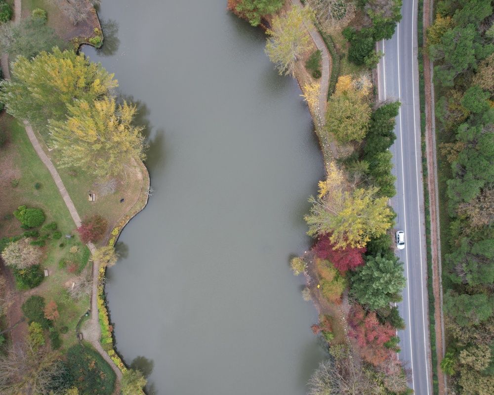 Sonbaharda İstanbul'da mutlaka görülmesi gereken bir yer: 'Canlı ağaç müzesi' Atatürk Arboretumu 11