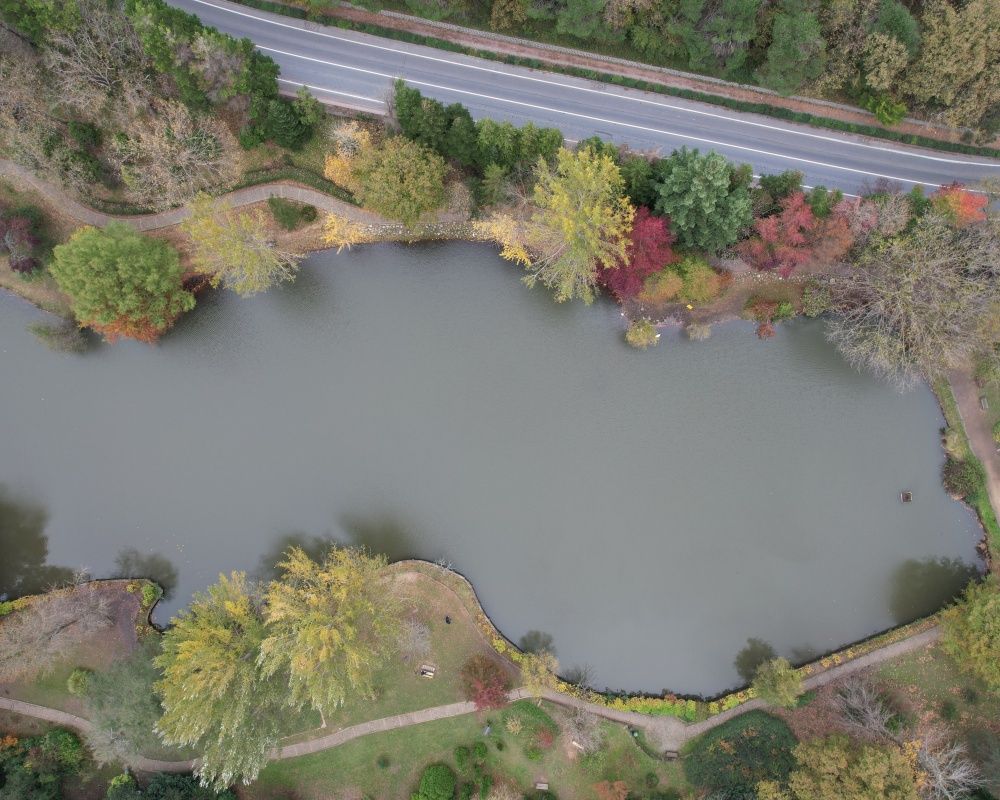 Sonbaharda İstanbul'da mutlaka görülmesi gereken bir yer: 'Canlı ağaç müzesi' Atatürk Arboretumu 12