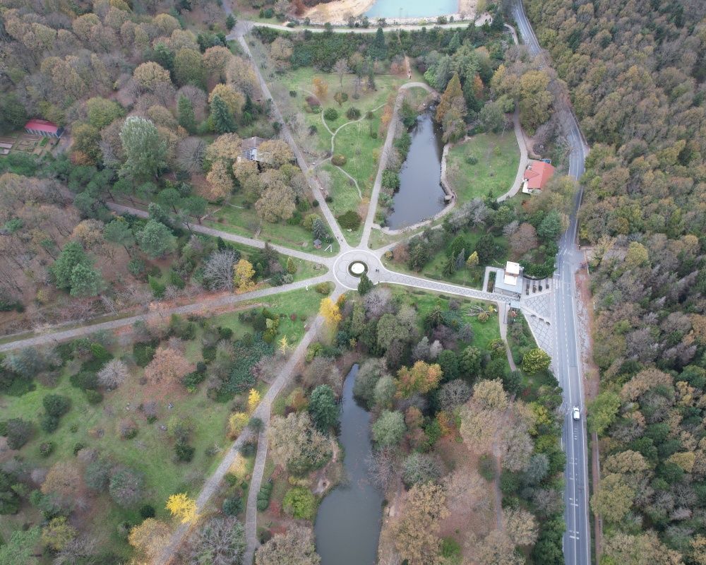 Sonbaharda İstanbul'da mutlaka görülmesi gereken bir yer: 'Canlı ağaç müzesi' Atatürk Arboretumu 13