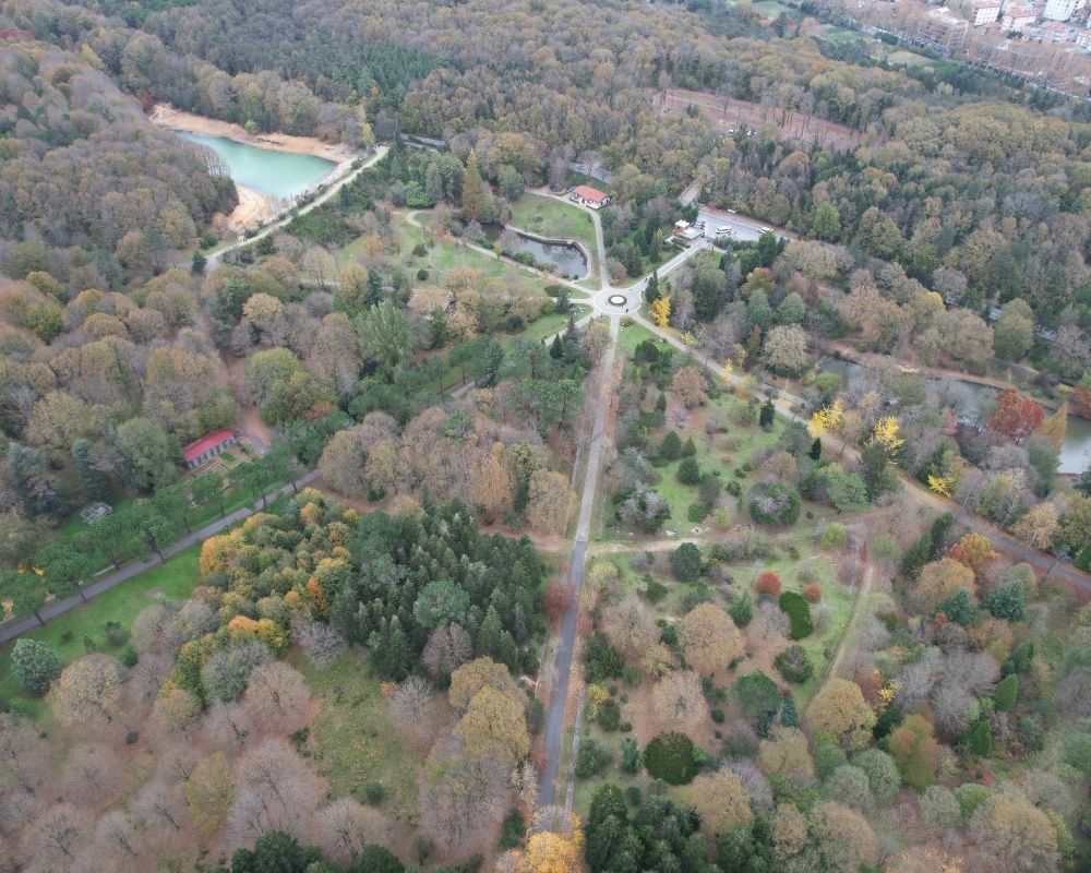 Sonbaharda İstanbul'da mutlaka görülmesi gereken bir yer: 'Canlı ağaç müzesi' Atatürk Arboretumu 14