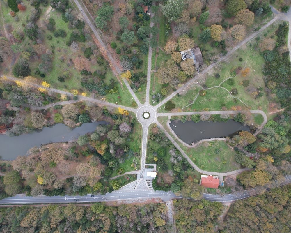 Sonbaharda İstanbul'da mutlaka görülmesi gereken bir yer: 'Canlı ağaç müzesi' Atatürk Arboretumu 15