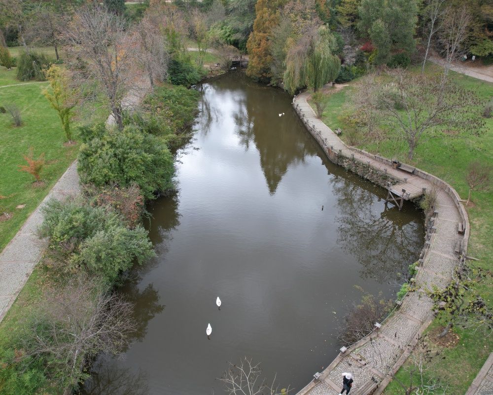 Sonbaharda İstanbul'da mutlaka görülmesi gereken bir yer: 'Canlı ağaç müzesi' Atatürk Arboretumu 16