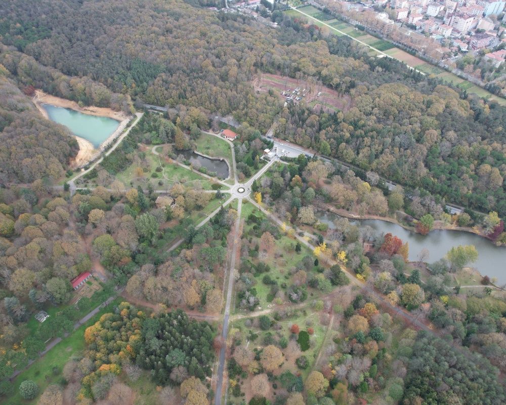 Sonbaharda İstanbul'da mutlaka görülmesi gereken bir yer: 'Canlı ağaç müzesi' Atatürk Arboretumu 17