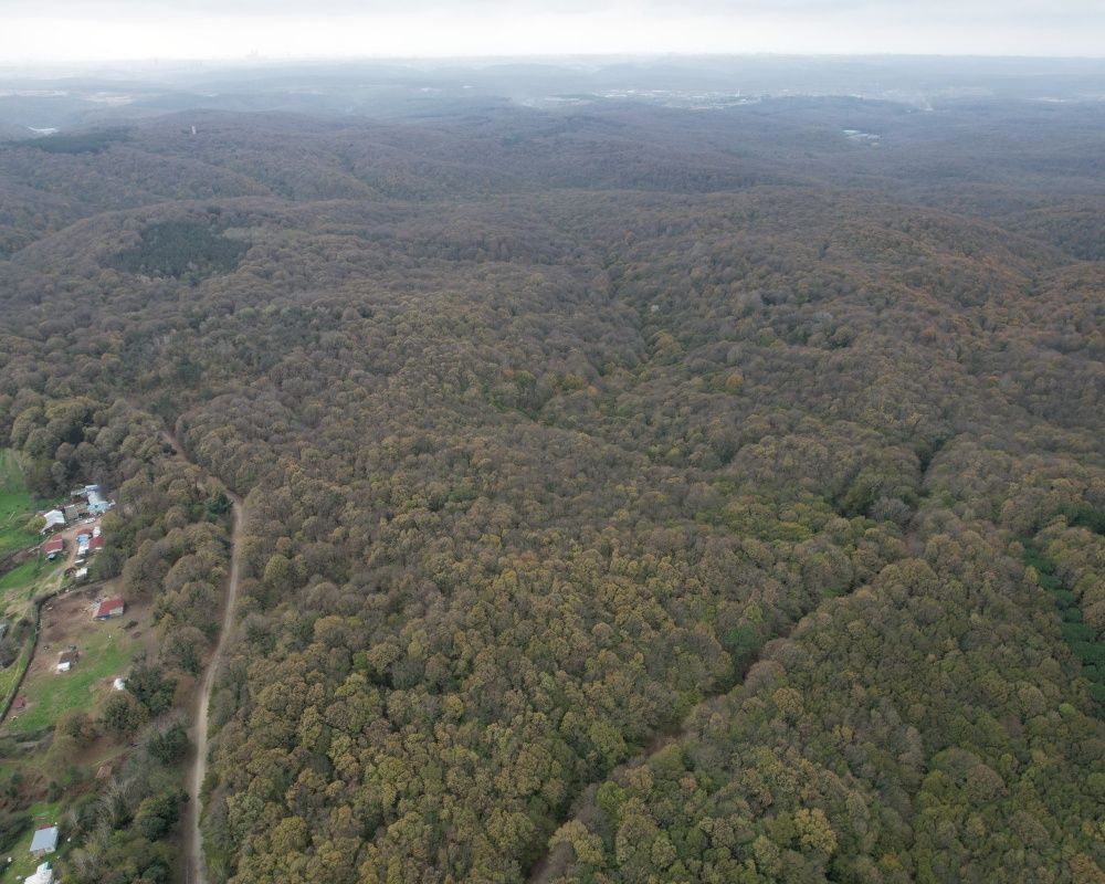 Sonbaharda İstanbul'da mutlaka görülmesi gereken bir yer: 'Canlı ağaç müzesi' Atatürk Arboretumu 18