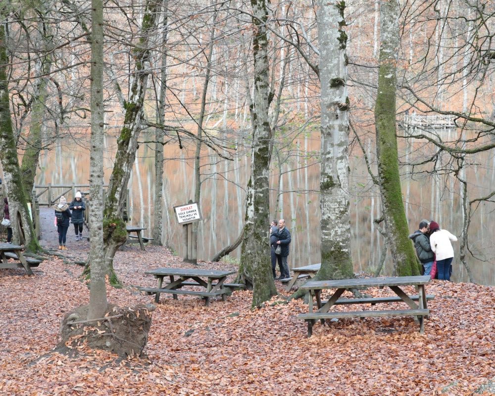 Yedigöller Milli Parkı'nı son iki ayda yaklaşık 100 bin kişi ziyaret etti 20