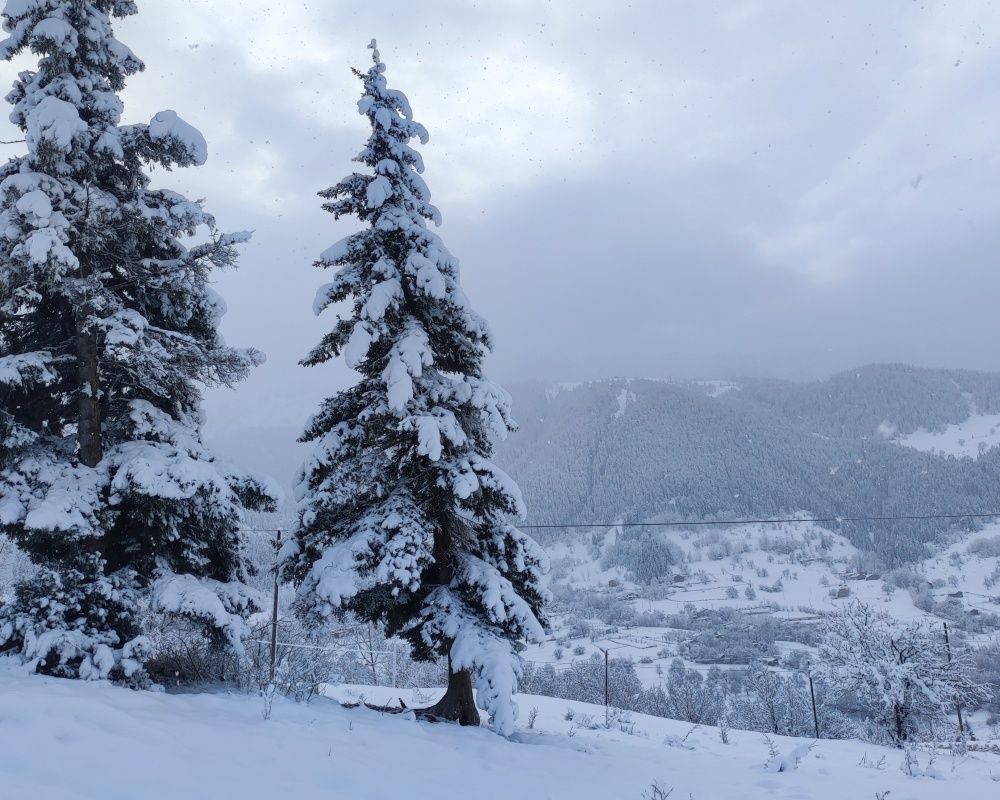 Artvin'deki doğa harikası 'sakin şehir' ünvanlı Şavşat beyaza büründü 8