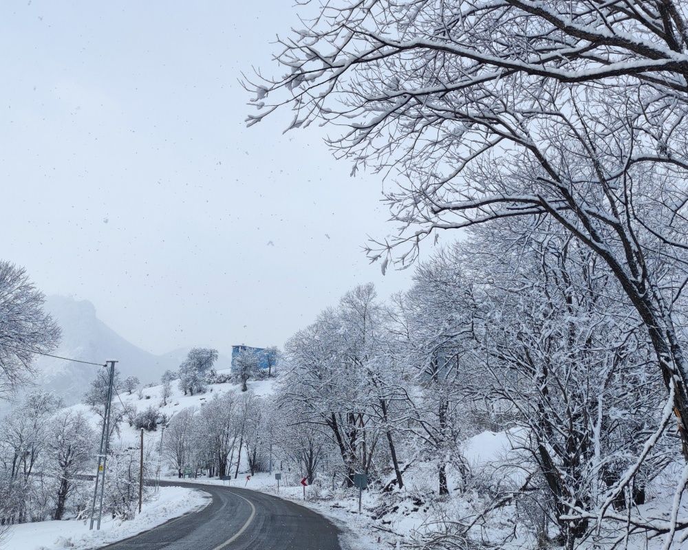 Artvin'deki doğa harikası 'sakin şehir' ünvanlı Şavşat beyaza büründü 10