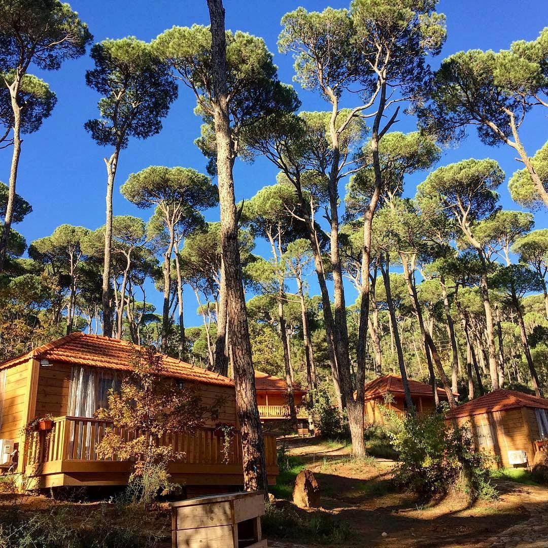 Birleşmiş Milletler açıkladı: Dünya turizminin en iyi iki köyü Türkiye'de 2