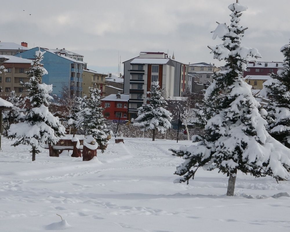 Ardahan'da kar yağışı sonrası kartpostallık görüntüler oluştu 1
