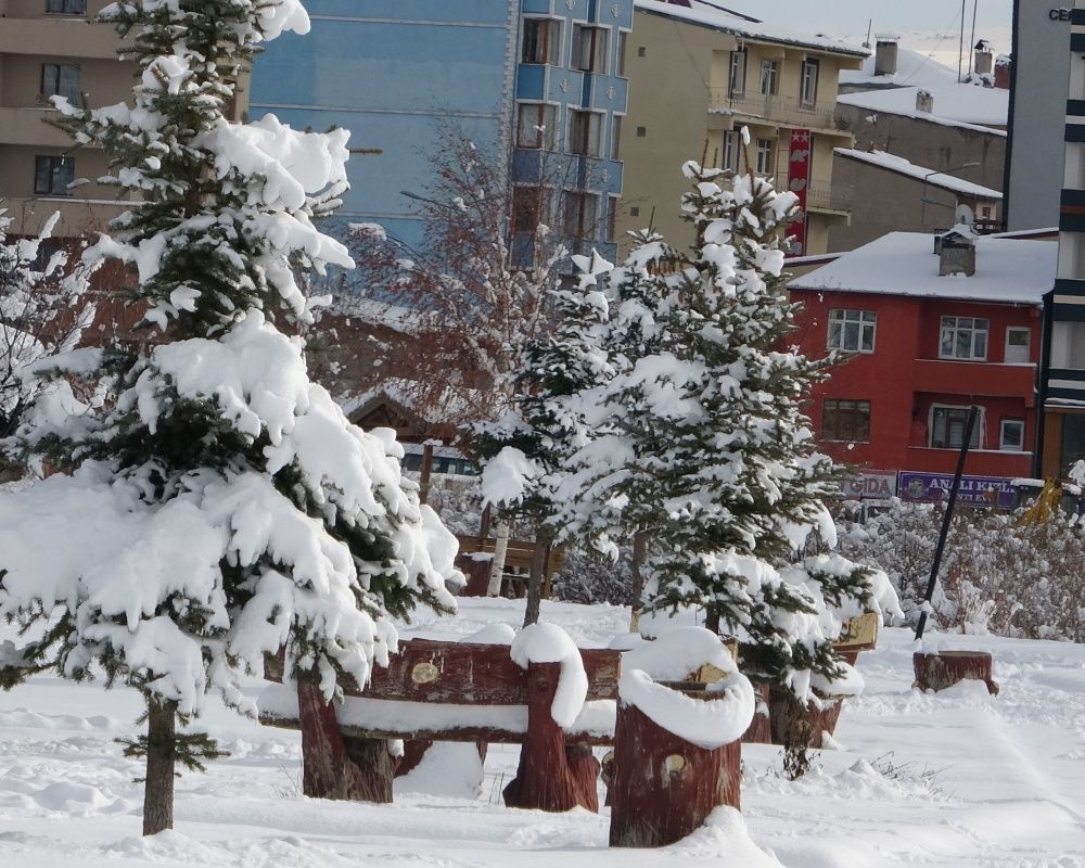 Ardahan'da kar yağışı sonrası kartpostallık görüntüler oluştu 2