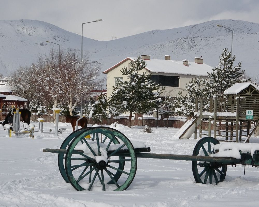 Ardahan'da kar yağışı sonrası kartpostallık görüntüler oluştu 4