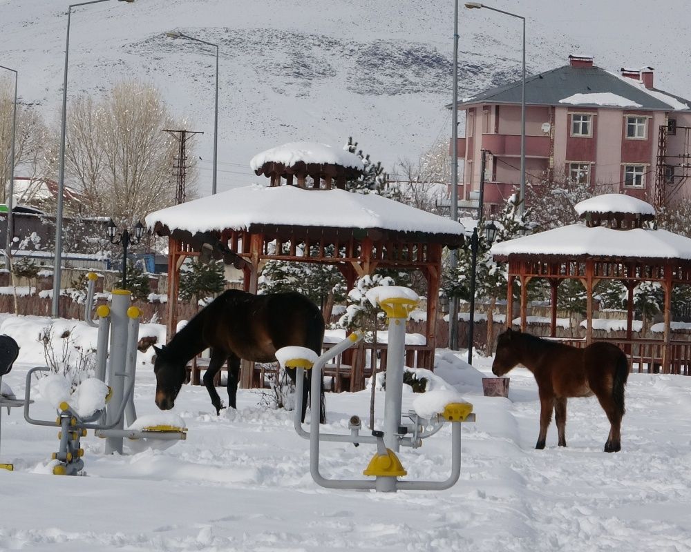 Ardahan'da kar yağışı sonrası kartpostallık görüntüler oluştu 5