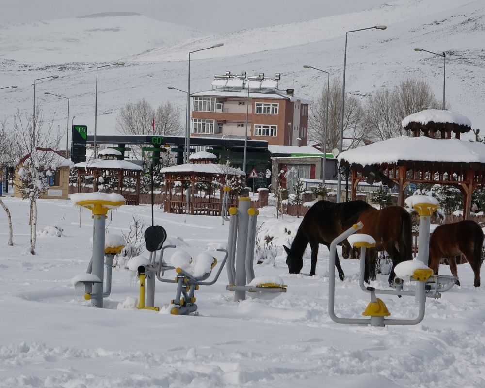 Ardahan'da kar yağışı sonrası kartpostallık görüntüler oluştu 7