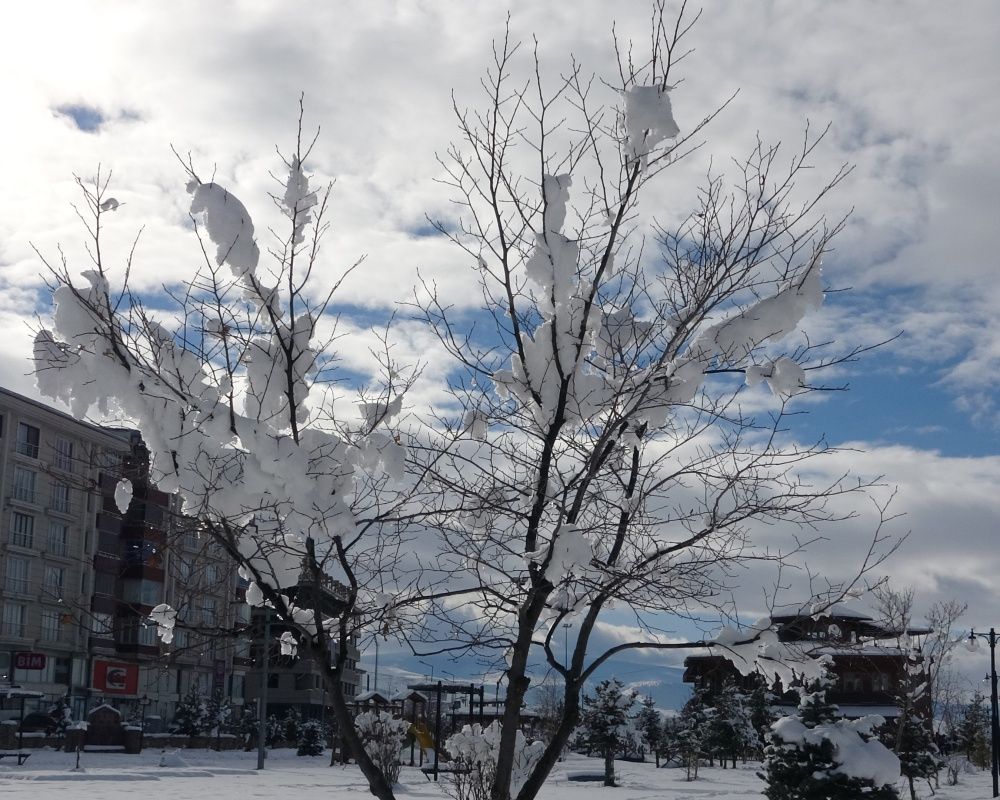 Ardahan'da kar yağışı sonrası kartpostallık görüntüler oluştu 15