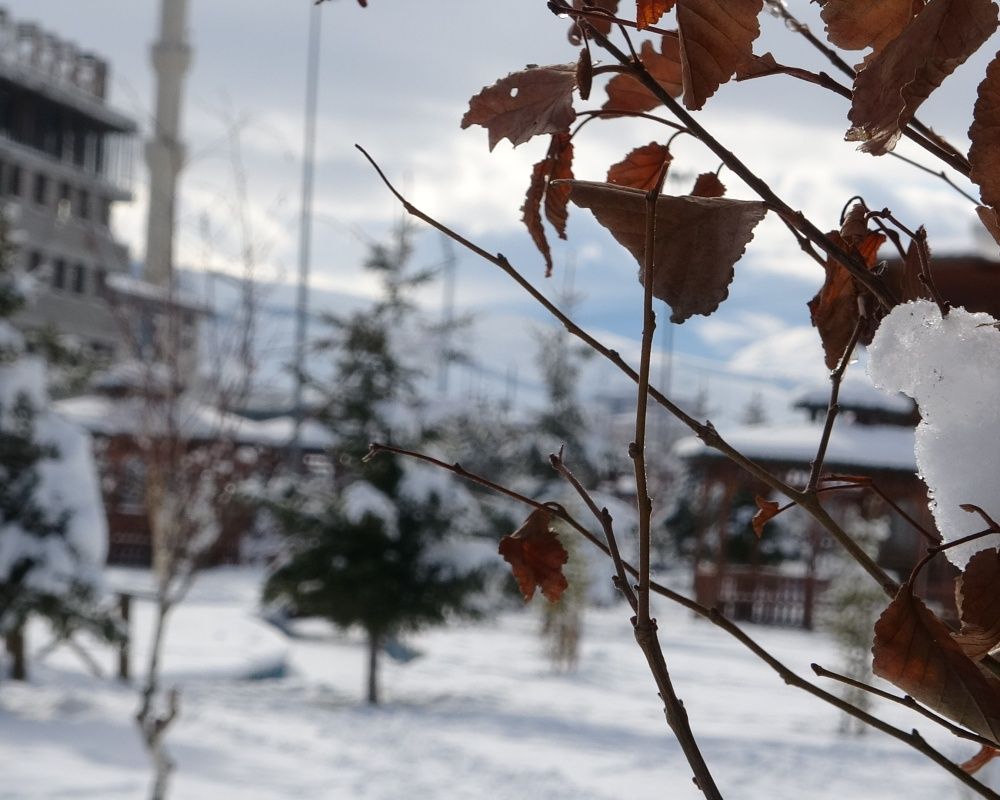 Ardahan'da kar yağışı sonrası kartpostallık görüntüler oluştu 21