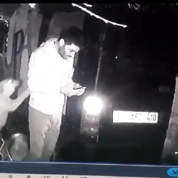 Barınaktaki köpeği tekmelemişti! Hayvan koruma derneği üyesi istifa etti! 1