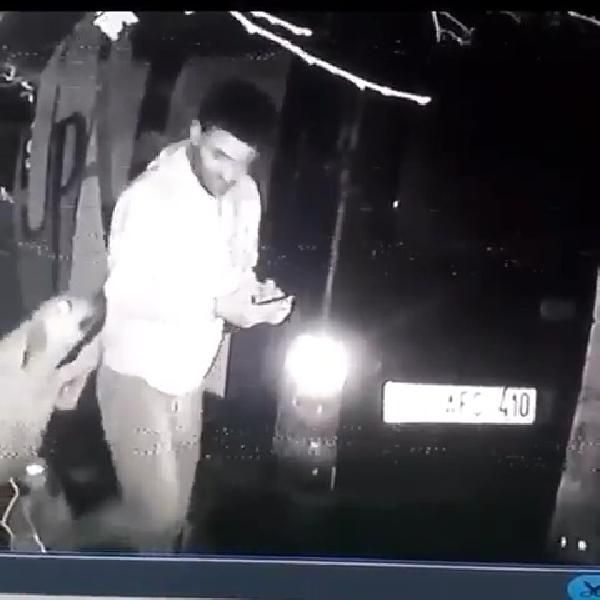 Barınaktaki köpeği tekmelemişti! Hayvan koruma derneği üyesi istifa etti! 3