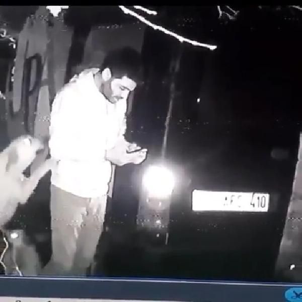 Barınaktaki köpeği tekmelemişti! Hayvan koruma derneği üyesi istifa etti! 2