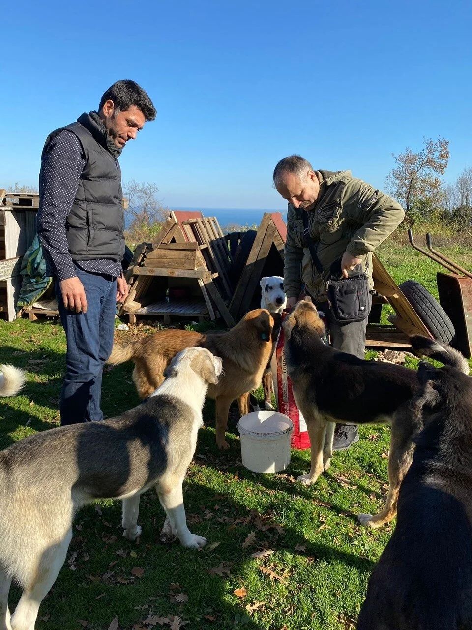 Barınaktaki köpeği tekmelemişti! Hayvan koruma derneği üyesi istifa etti! 6