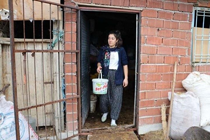 Sağdığı inekler Gülçin'i dünya üçüncüsü yaptı! 4